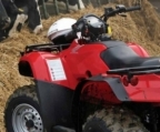 Quad